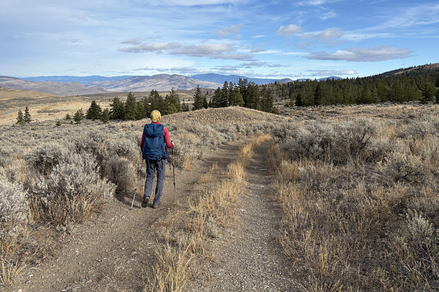 More scenic here than on the high point of the hill!