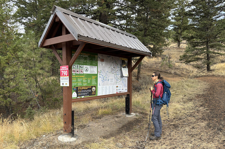 Let's take the most long-winded trail possible to the top of the hill!