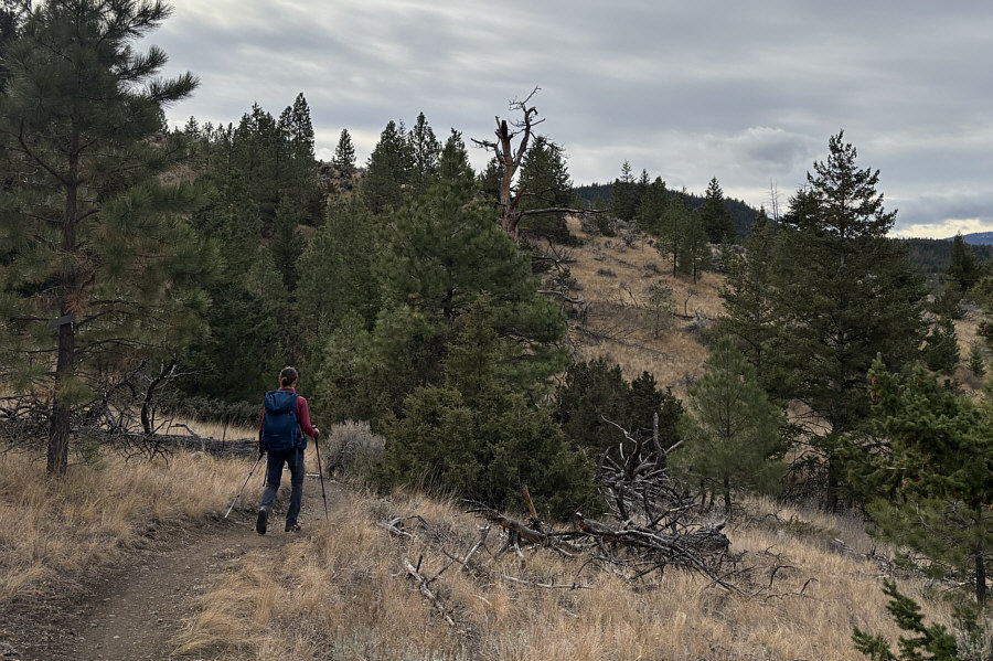 Tempting to go off-trail and take a more direct line up the hill...