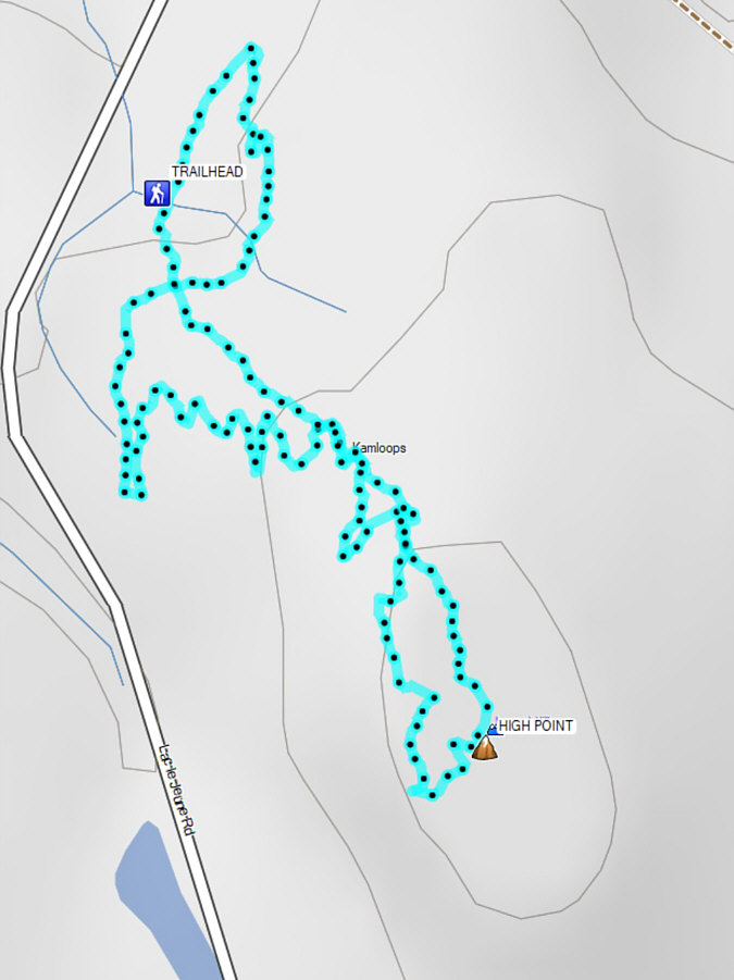 Would be more fun with a mountain bike!