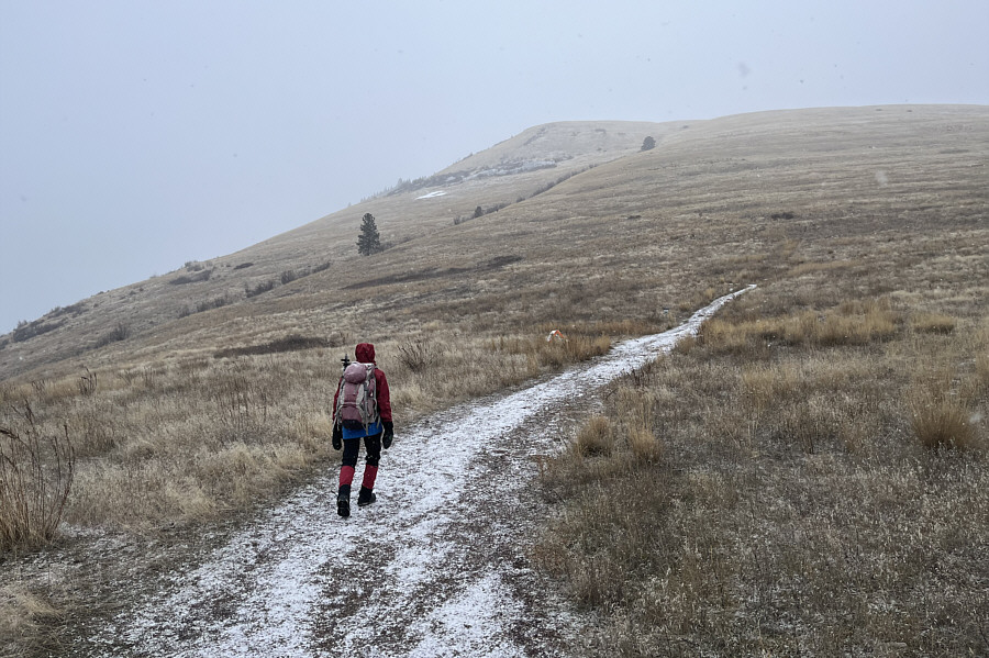 This would be an awesome slope to ski...if only there was enough snow!