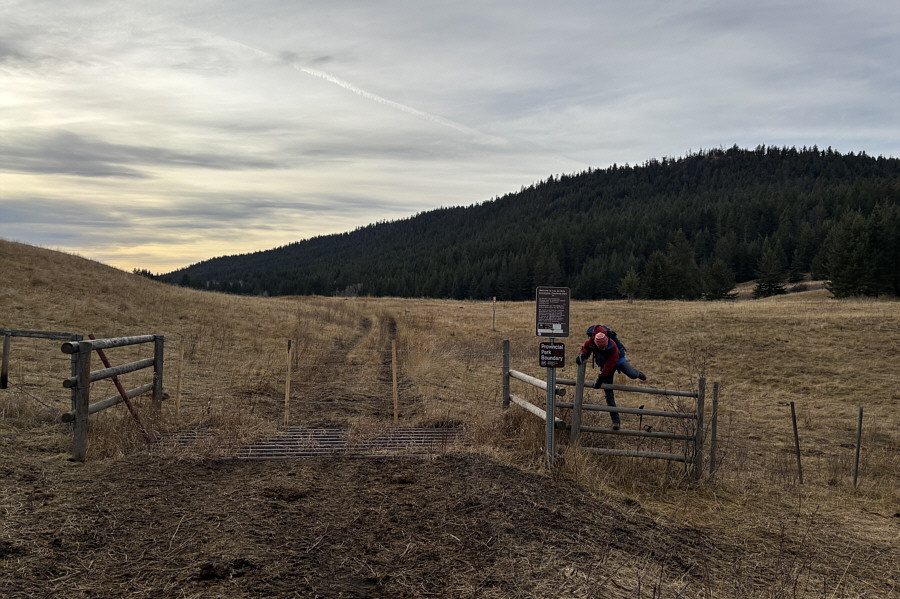 Some cattle out of view to the right are watching us...