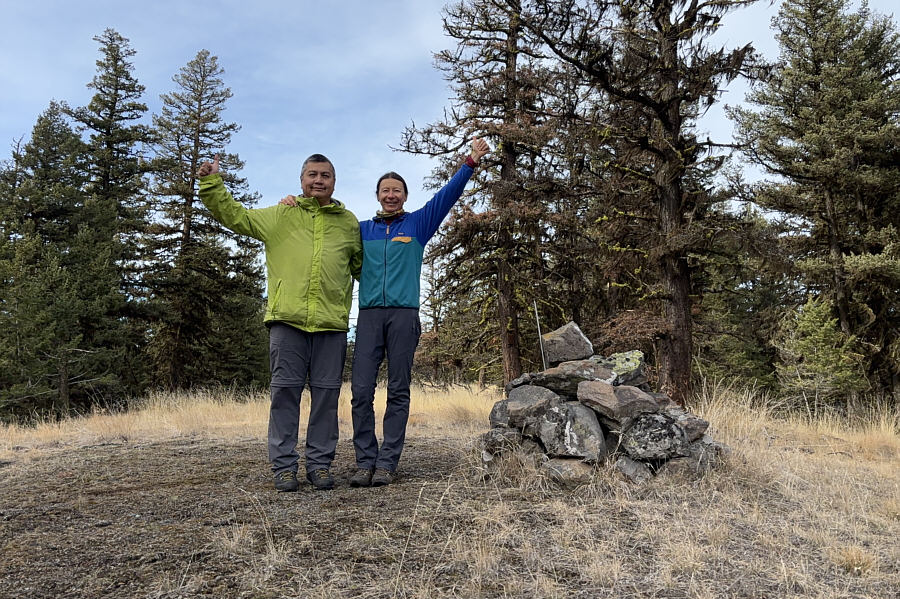 See the bird house on one of the trees?