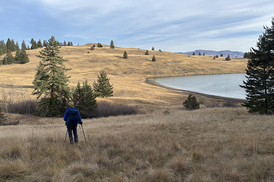 We saved about 1.5 kilometres of extra walking.