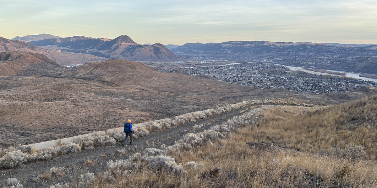 A bike, a bike! My kingdom for a bike!