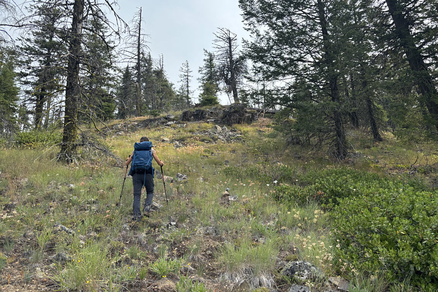 Actually quite pleasant off-trail hiking!