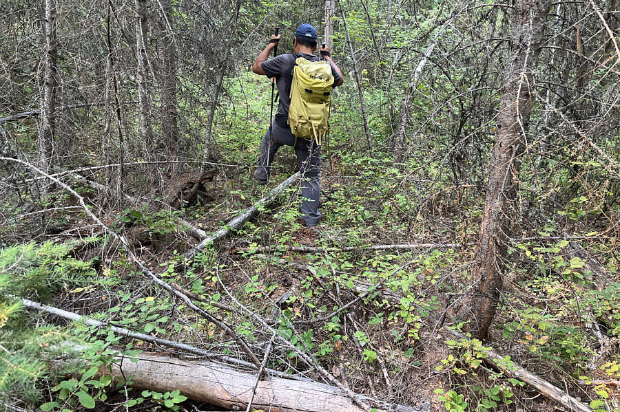 At one point, we were only 50 metres away from the actual trail!
