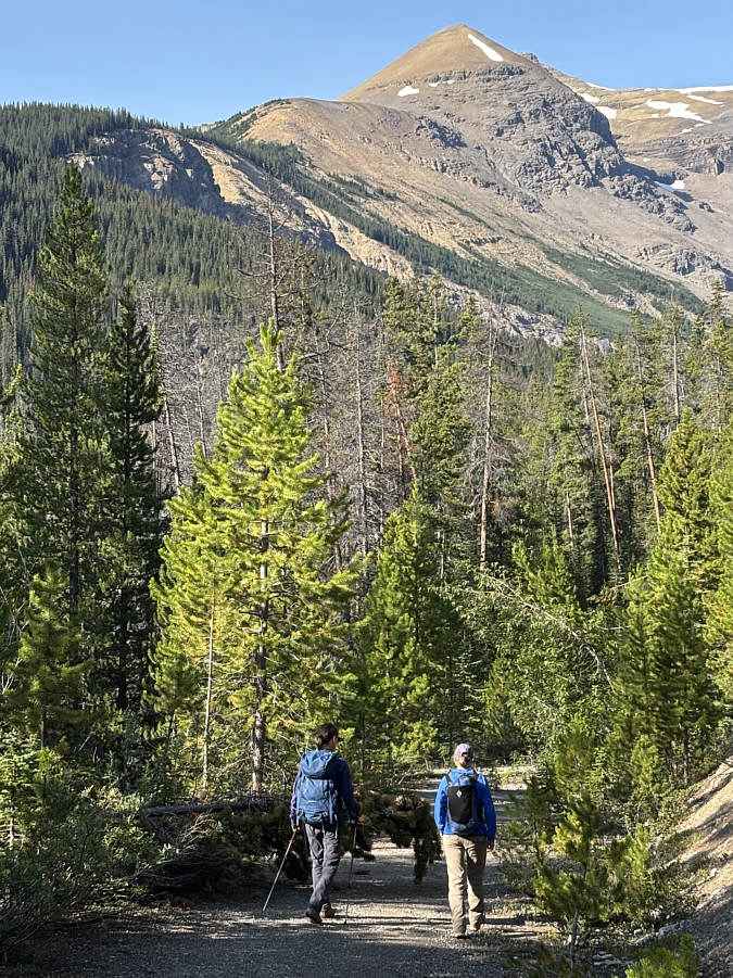 Actually, we maybe could have taken a bushy short cut just a little further down the road...maybe...