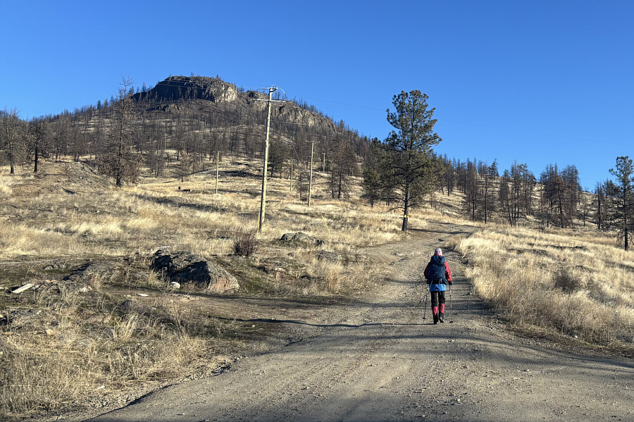 I've driven up worst roads than this!