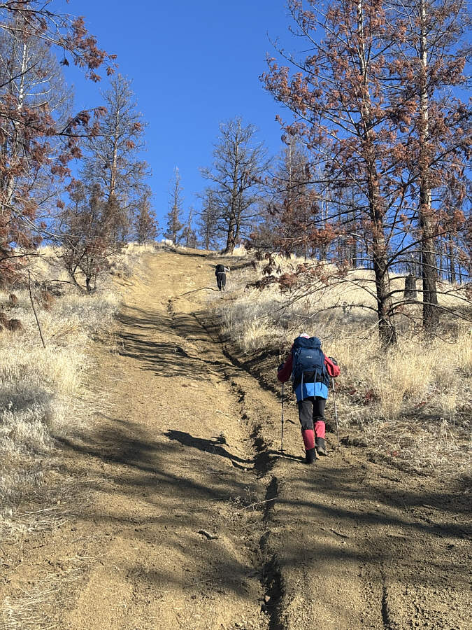 Let the grunting begin!