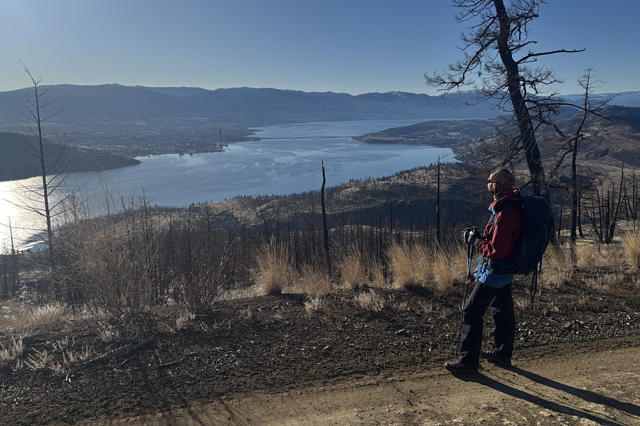 The nice views help alleviate some of the drudgery of hiking up the road.