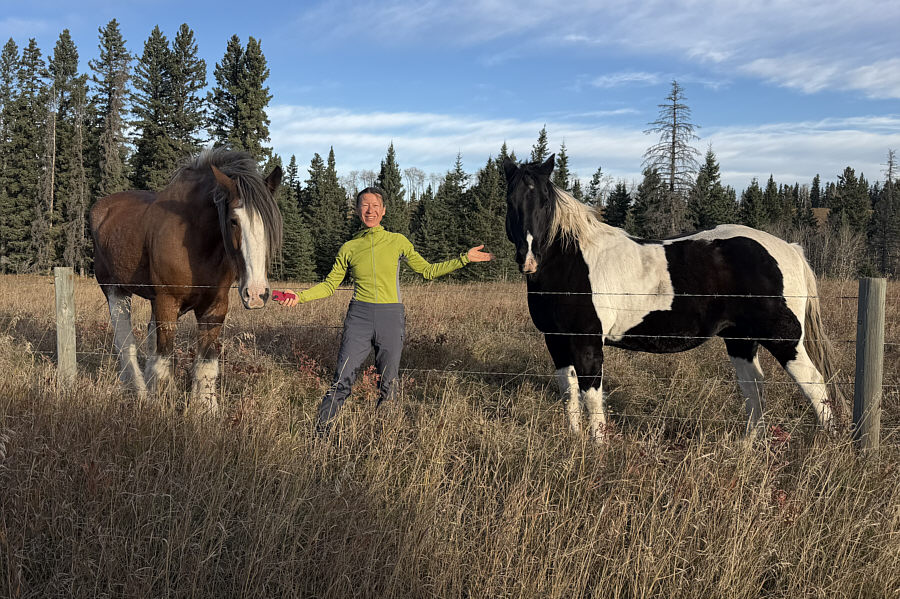 The horses were probably expecting treats from Zosia!