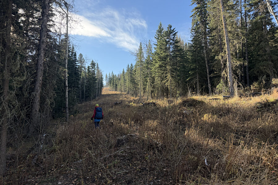 A bit tedious to hike but not that bad.