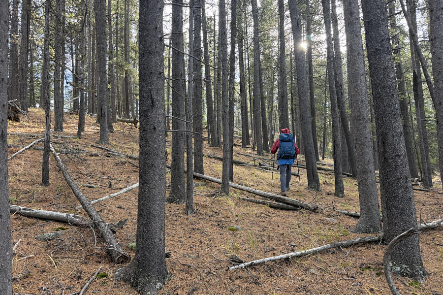 That's why I like hiking here!