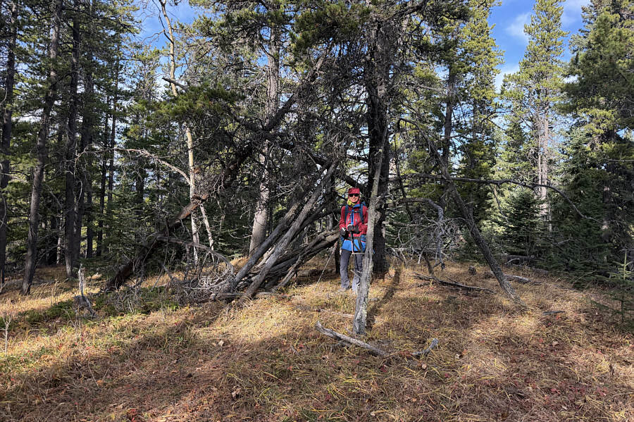 Why would anyone want to camp or bivy here?