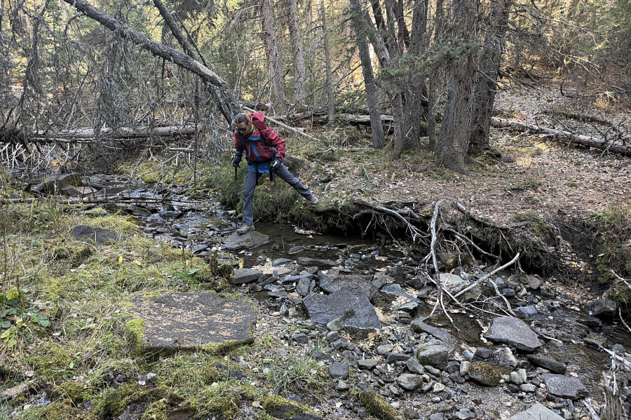 I wonder what this creek was like during the 2013 Alberta floods.