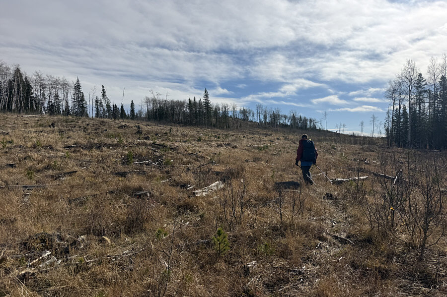 More potential ski touring terrain!