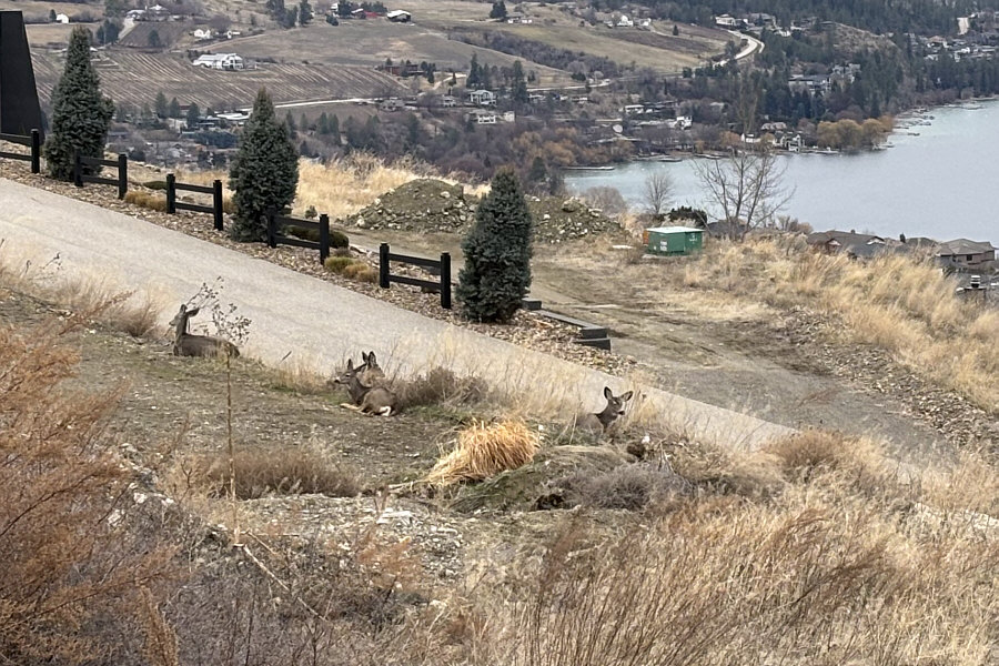 Looks like they just woke up!