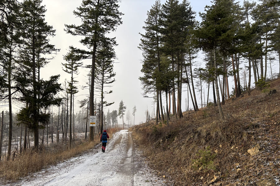 The sign says "Welcome" and not "No Trespassing"!