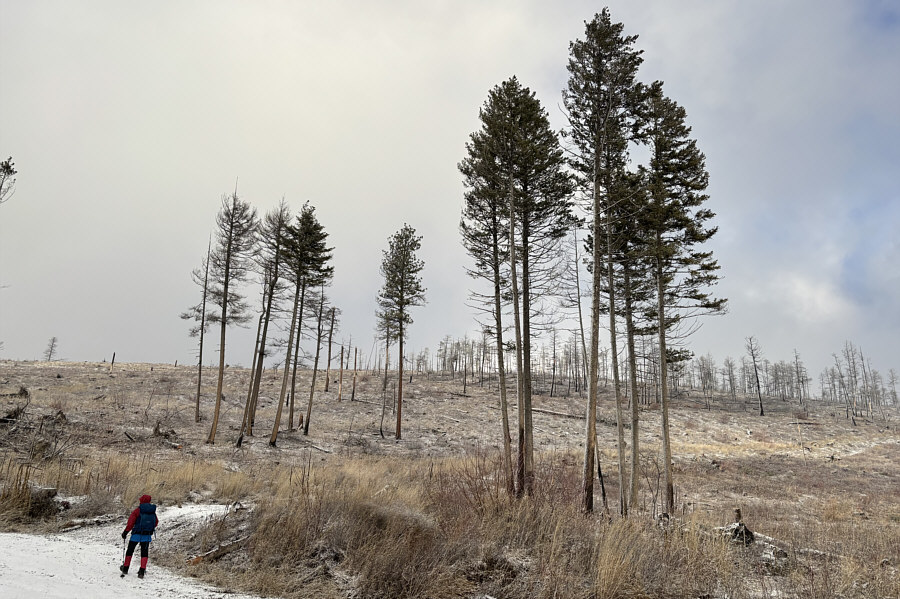 Or just short cut straight up the hill here!