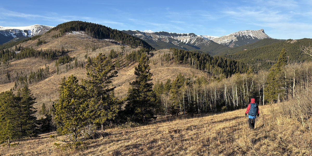 Feel free to drop your pants here!