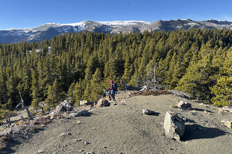 We should've stopped here for lunch!