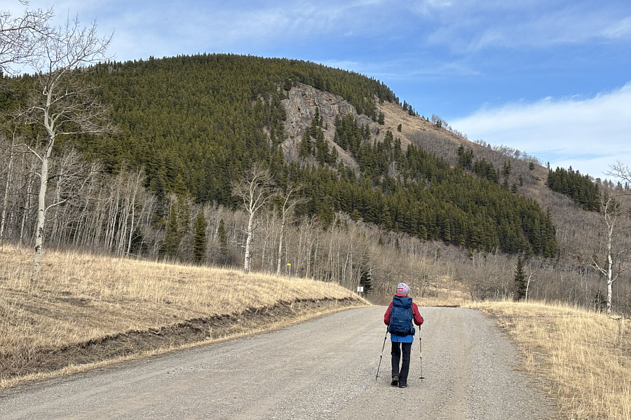 Spot any goats or sheep?