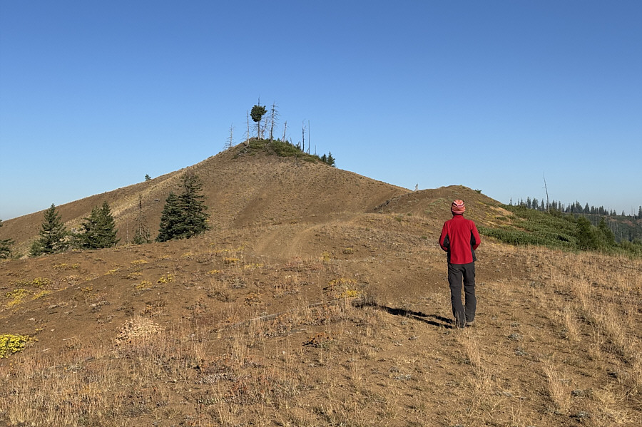 It's a no-packs-or-poles-needed kinda hike!