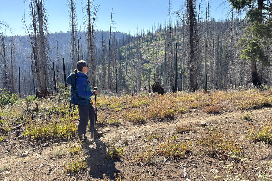 At this point, we didn't know that the fire lookout was manned.