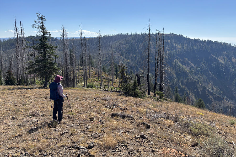 We still didn't know that the fire lookout tower was manned.