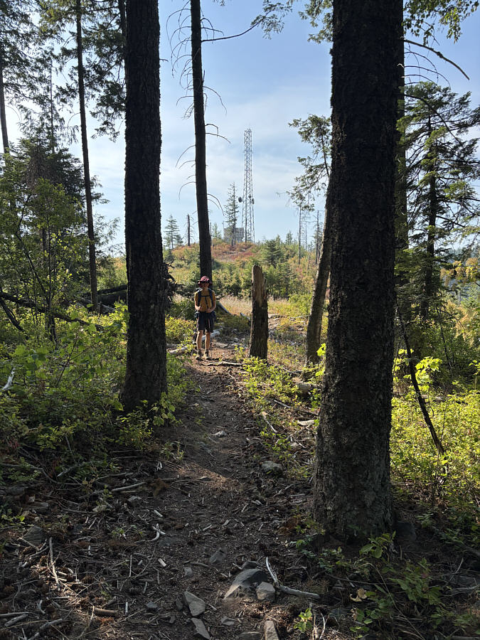 It's crazy that neither the spur road nor this trail are marked on any maps.