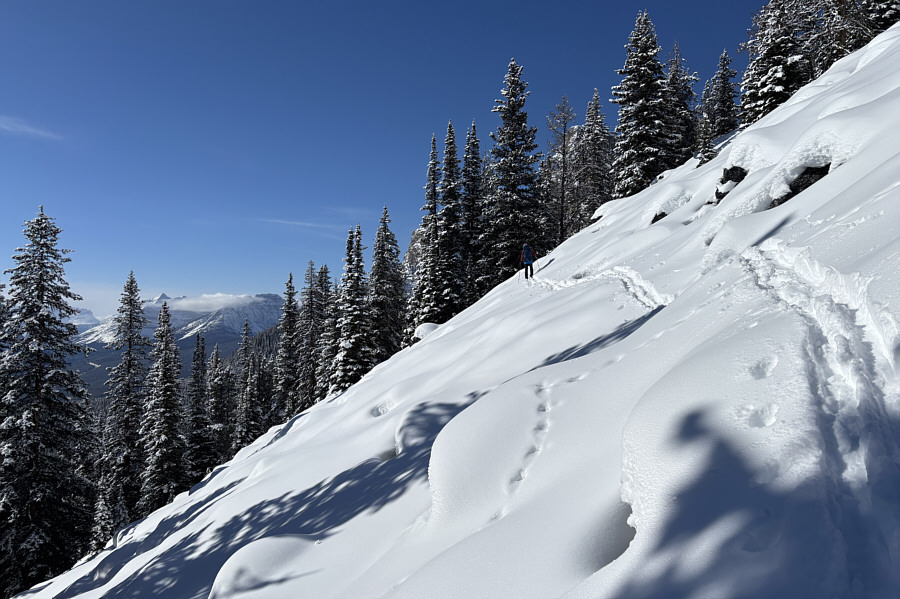 Ski crampons were helpful here!