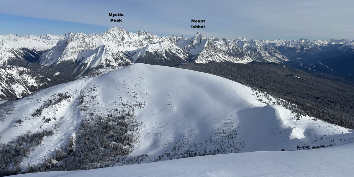 That's where the skin track ended up!