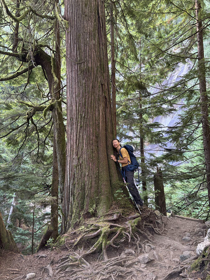 Tree-hugger!