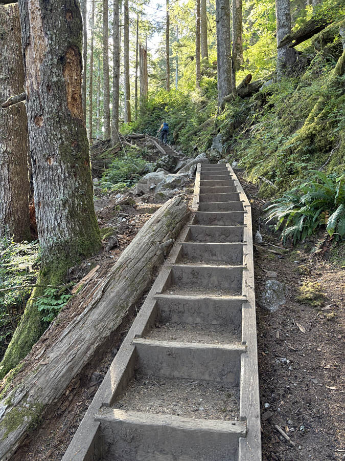 Oh no! How dare they build staircases here!