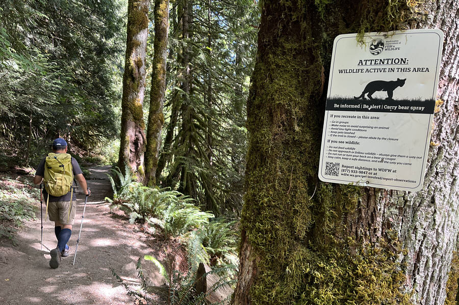 Why do they say "Carry bear spray" and then show a cougar on the sign?