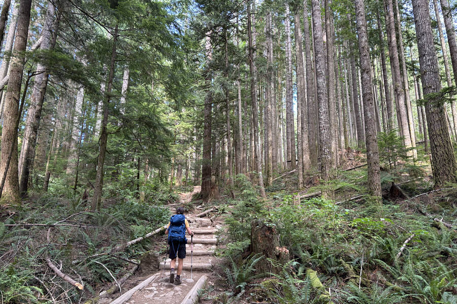 But much shorter and not as steep!
