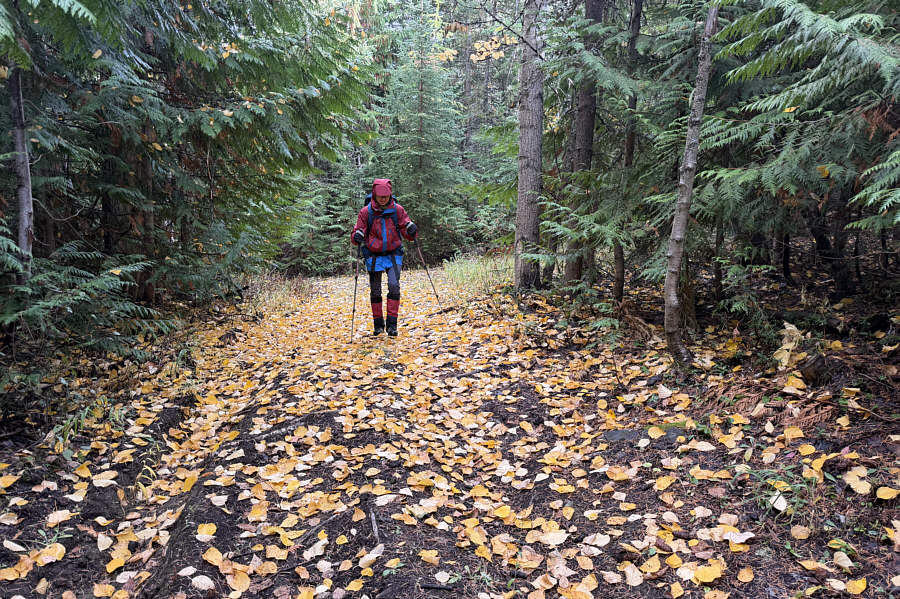 The joys of hiking in autumn!