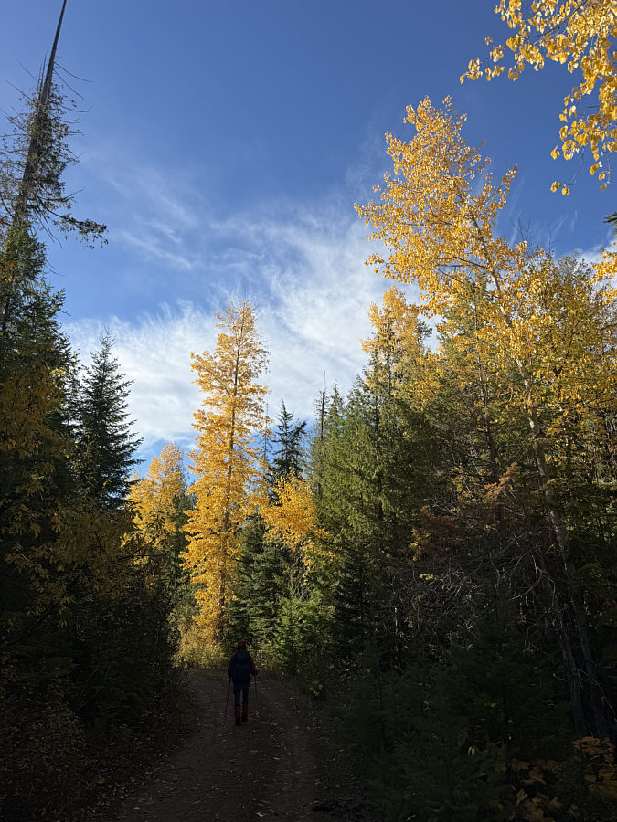 No larches needed!