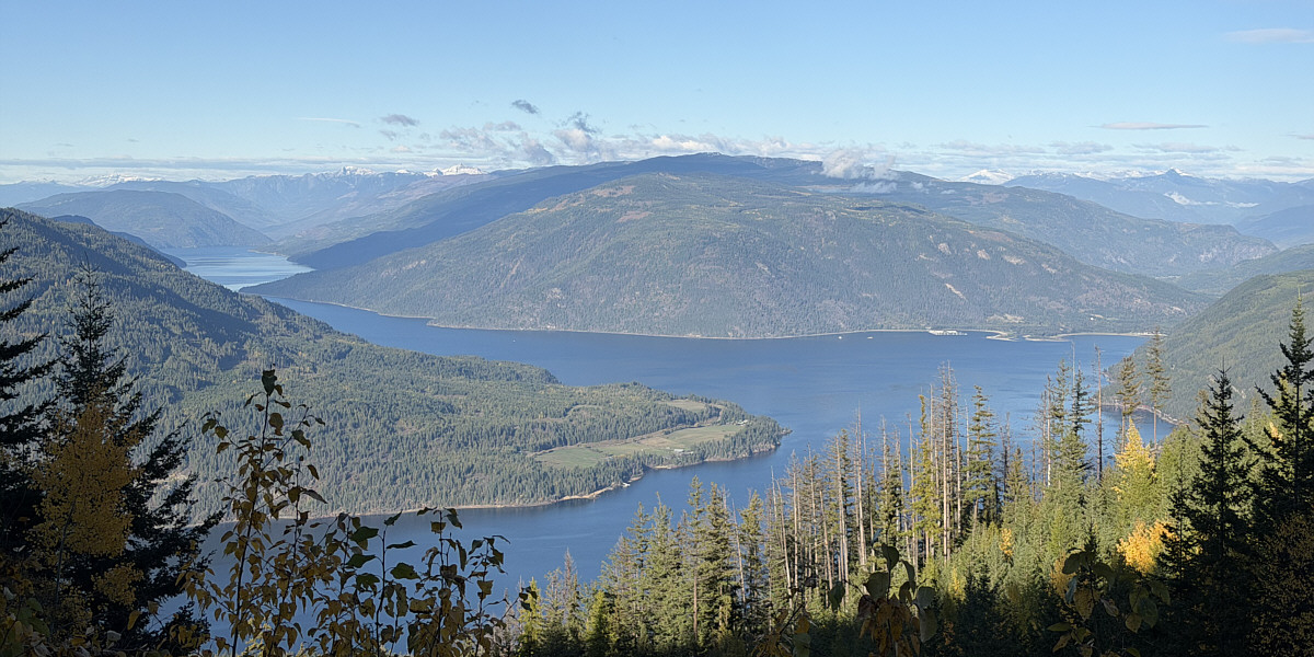 Better than no views at all!