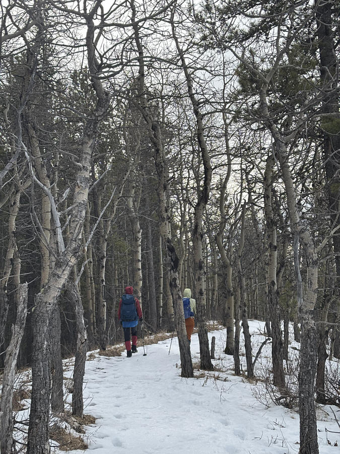 Thankfully, the snow wasn't too deep!