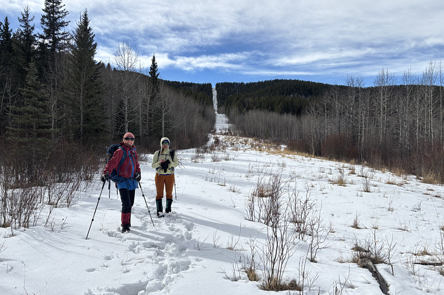 Watch out for giant wolves here!