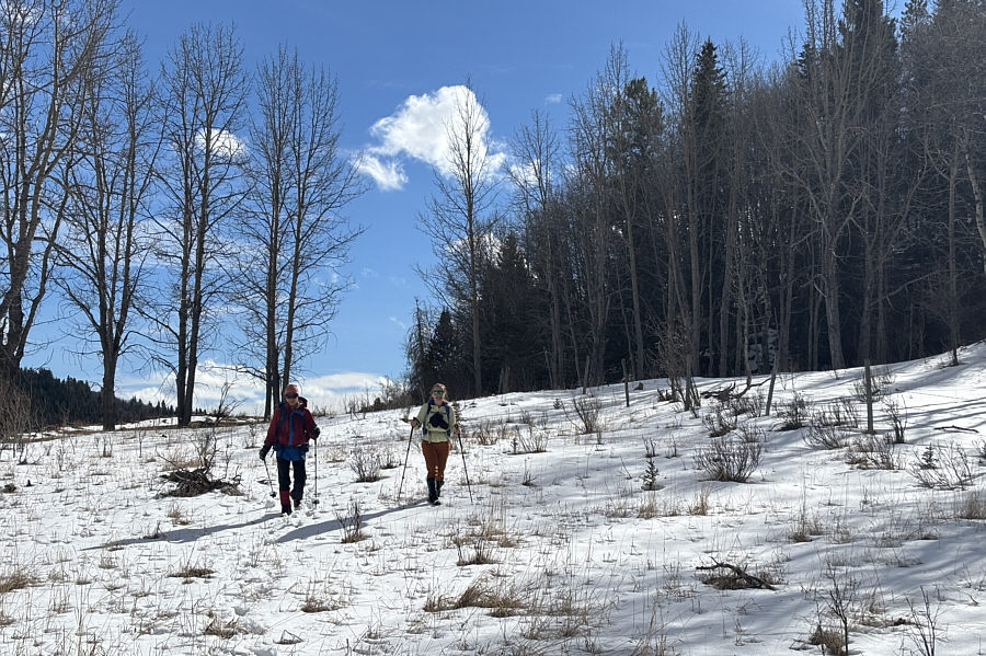 Watch your step...lotsa horse poop around here!