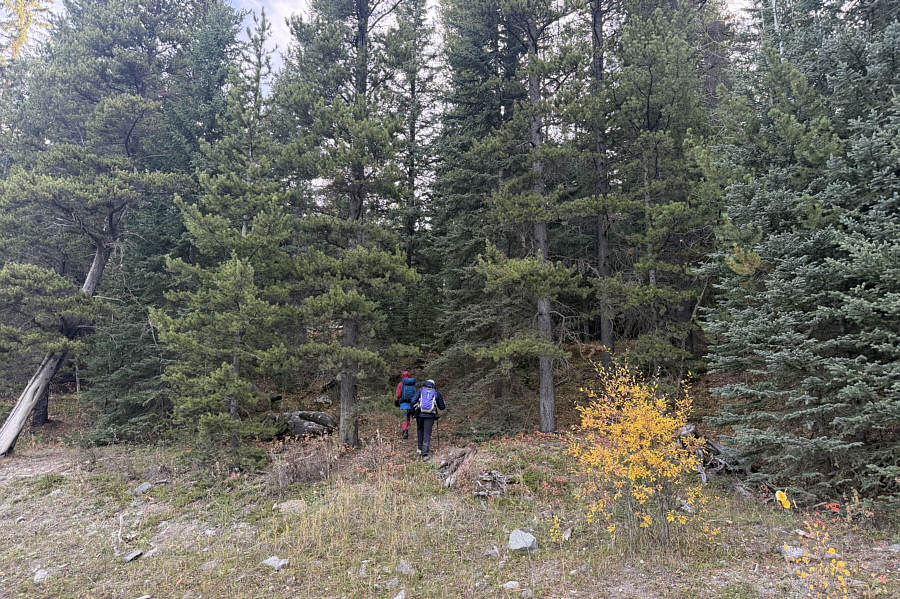 We don't need no stinkin' trail!