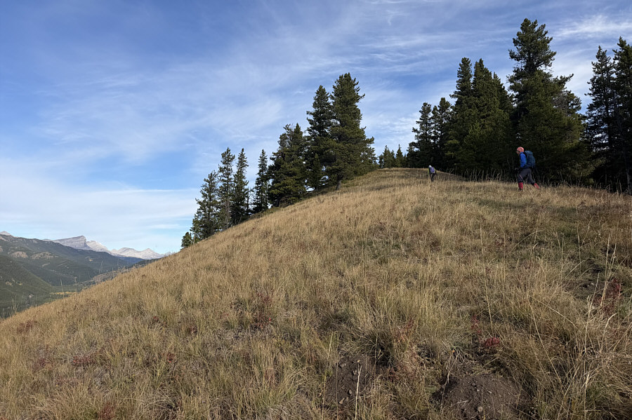 We'll find out where this trail starts on the way back...