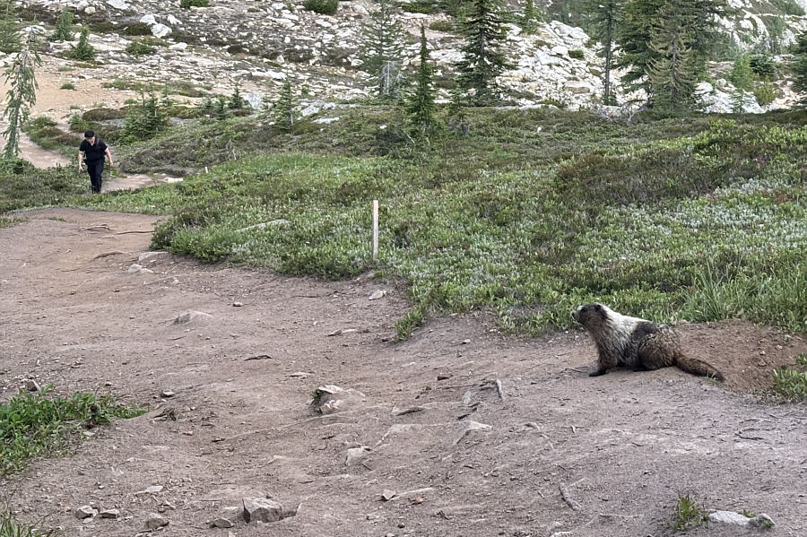 The hiker was the first person we encountered going counter-clockwise along the loop.