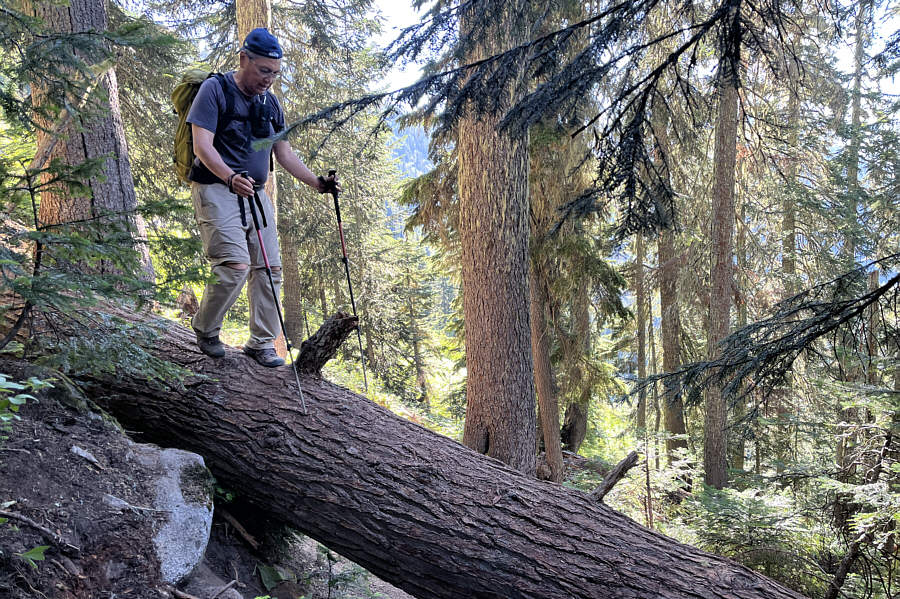 Someone needs to come up here with a chain saw...