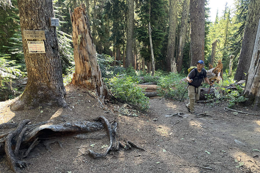 We've hiked parts of the PCT on other trips, most notably in Oregon (Belknap Crater, Mount Thielsen, and Mount McLoughlin).