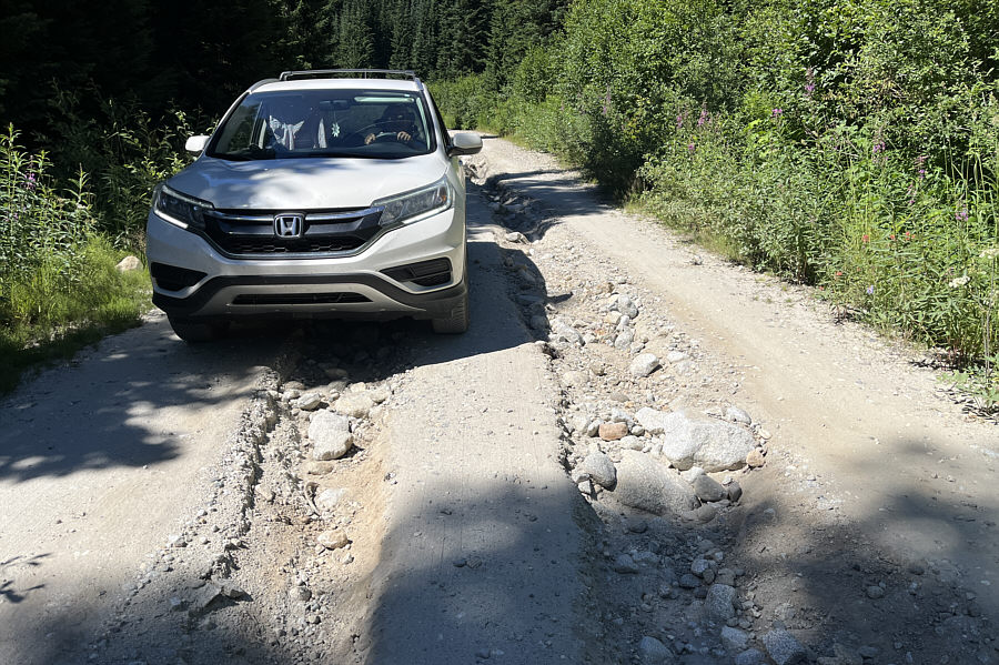 Words of wisdom: Don't get stuck in a rut!