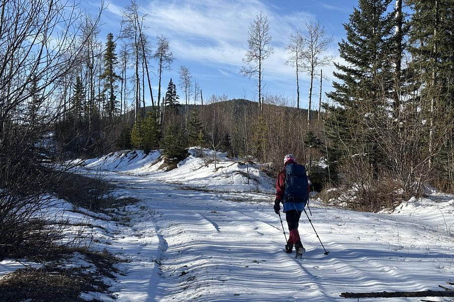 Luckily, the snow wasn't too deep!